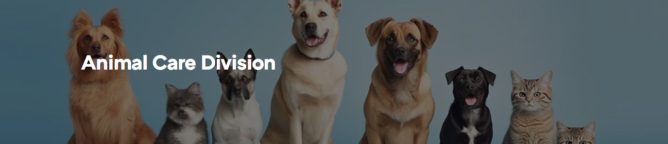 Broward County - Animal Care Division