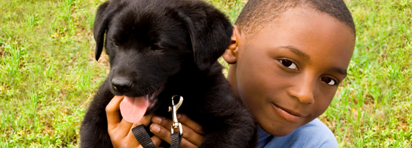 Pet Owners: A current license helps ensure you and your pet stay together.