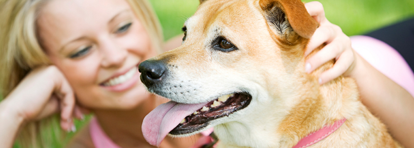 Your Community: Let PetData handle animal licensing to trim budgets and increase revenue.