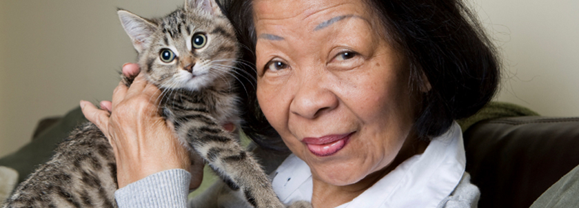 Our Clients: Reuniting pets and their owners in animal welfare communities.